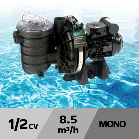 Pompe de filtration STA RITE S5P2R eau salée - 1/2 cv mono