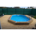 Piscine Bois Lola Octogonale Allongée 541x336x131cm