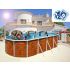 Piscine Allongée ETNICA Acier Aspect Bois 640 cm x 366cm x H 120cm